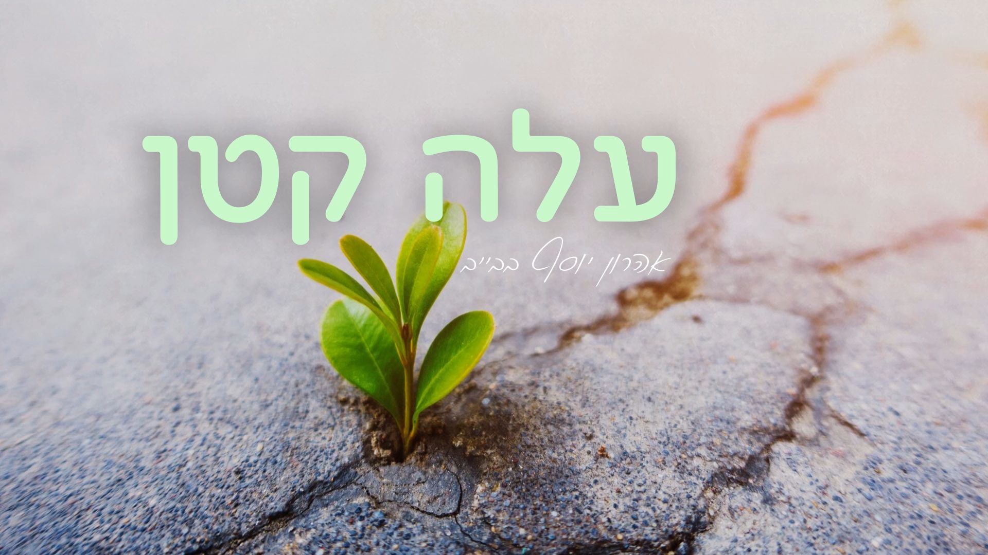 עלה קטן.00_00_04_29.Still001.jpg