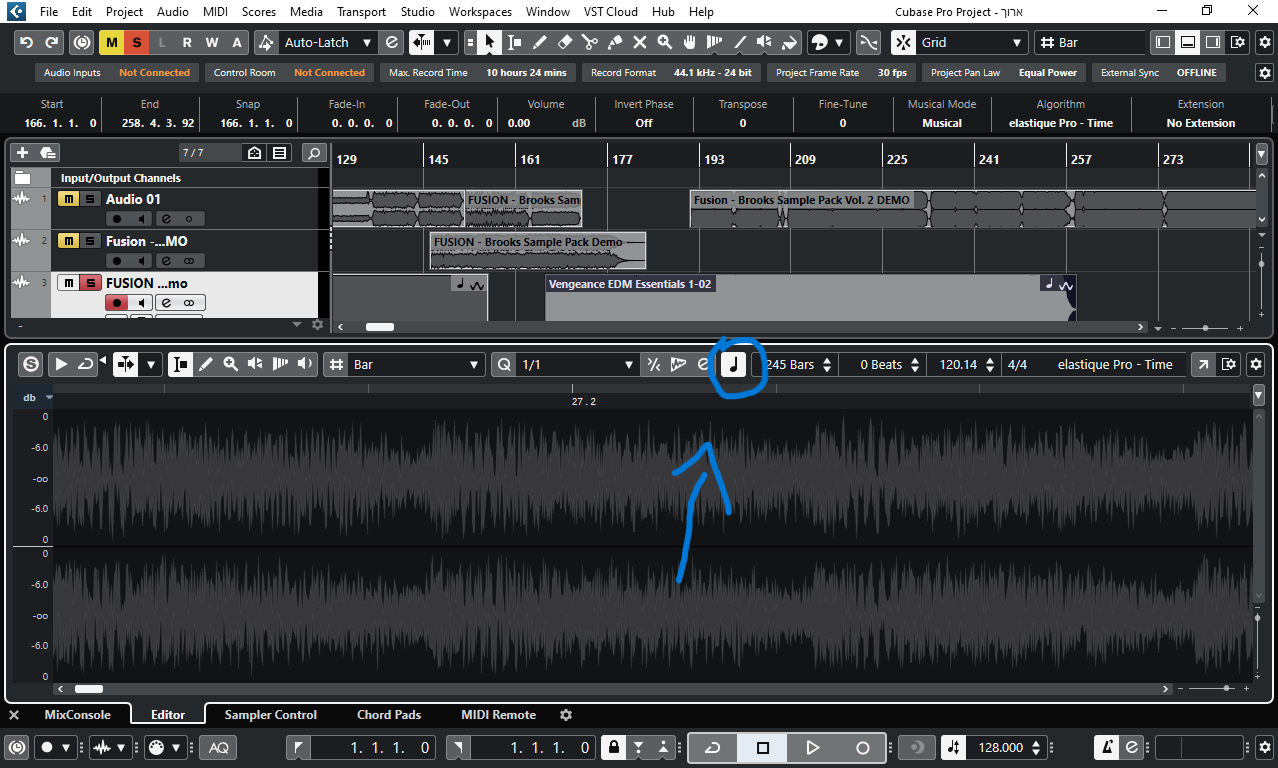 Cubase Pro Project - ארוך 30_05_2024 16_20_56.png