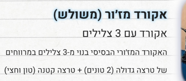 צילום מסך 2025-03-23 022440.png